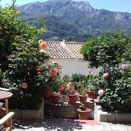 Hill & Appartement